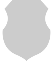 Shield vector