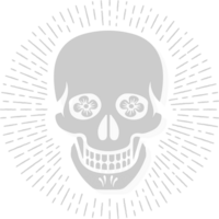 Skull vector