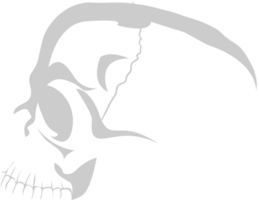 Skull  vector