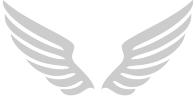 Angels Wings vector