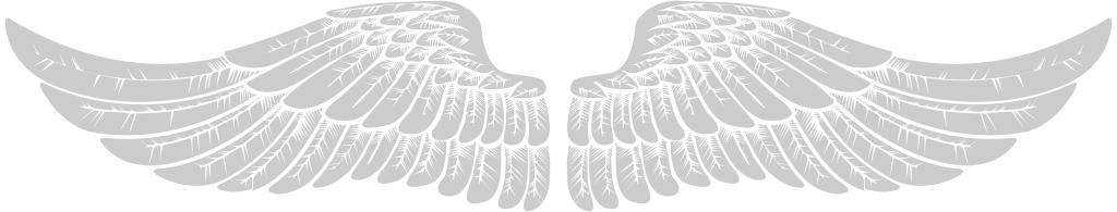 Angels Wings vector