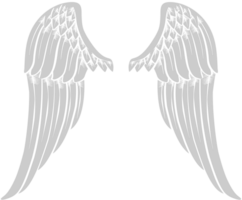 Angels Wings vector