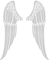 Angels Wings vector