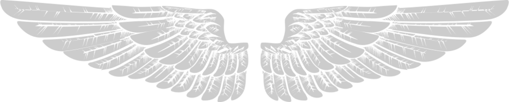 Angels Wings vector