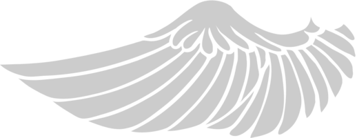 Angels Wing vector