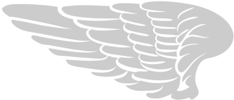 Angels Wing vector