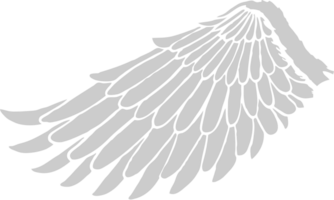 ala de los ángeles vector