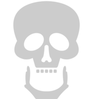 Skull vector