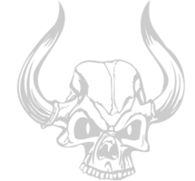 Skull vector