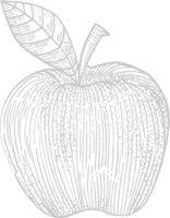 Apple vector