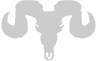 Skull bull vector