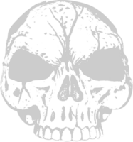 Skull grunge vector