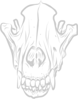 Skull animal vector