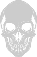 Skull scary vector