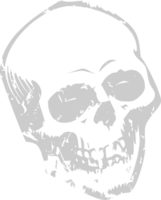 Skull grunge vector