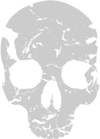 Skull grunge vector