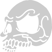 Skull vector