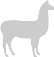 animal causas alpaca vector