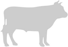 animal causas vaca vector