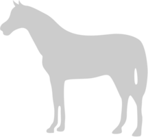 animal causa caballo vector