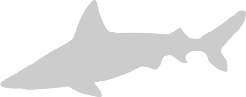 Animal Causes Shark vector