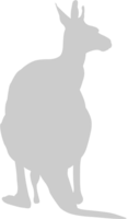 animal causas canguro vector