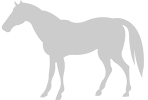 animal causa caballo vector