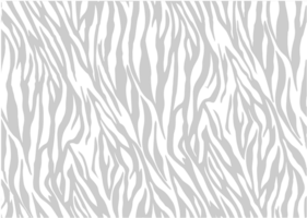 Stripes zebra vector