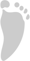 Footprints vector