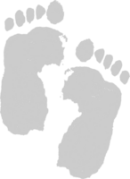 Footprints vector