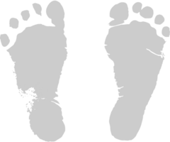 Footprints vector