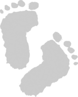 Footprints vector