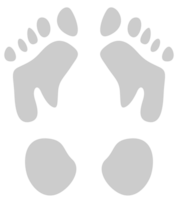 Footprints vector