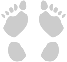 Footprints vector