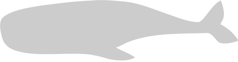 Whale vector