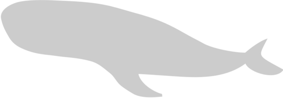 ballena vector
