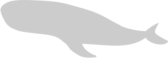 Whale vector