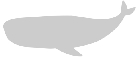 ballena vector