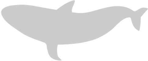 Whale vector