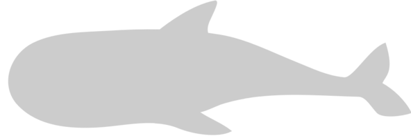 ballena vector