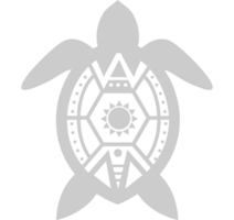 Turtle vector