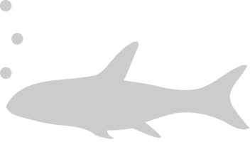 Fish vector