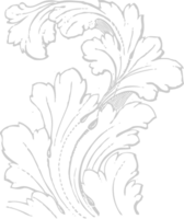 Decoration acanthus vector