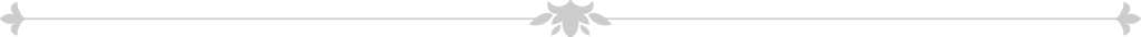 Decoration border line vector