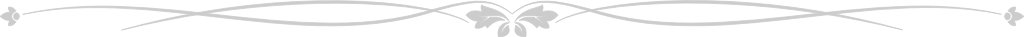 Decoration border line vector