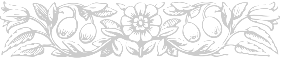 ornamento vector