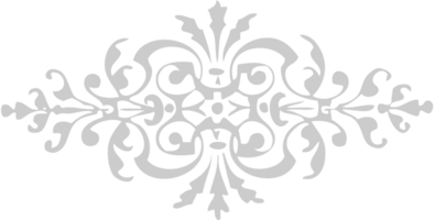 Ornament vector