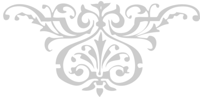 Ornament vector