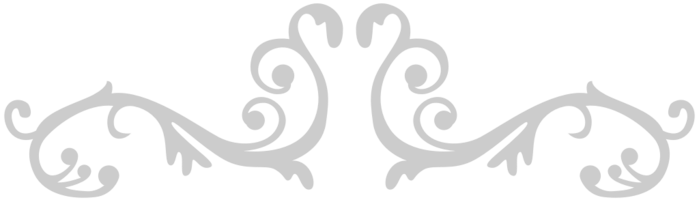 Decoration western flourish vector