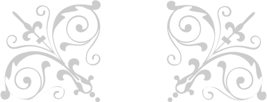 Decoration ornament vector